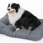 cama impermeable perros