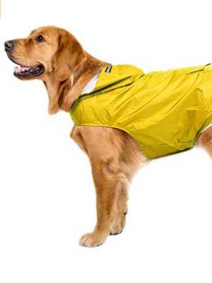 Impermeable amarillo para perro: tu perro seguro bajo la lluvia